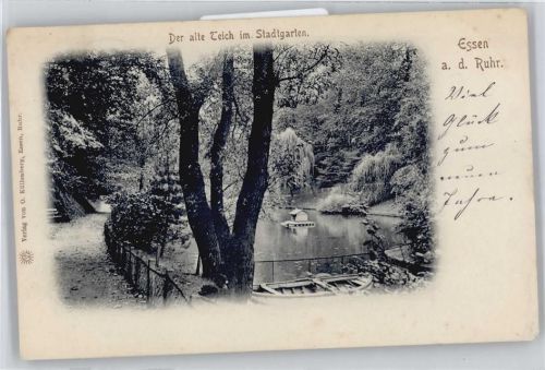 Essen Teich im Stadtgarten