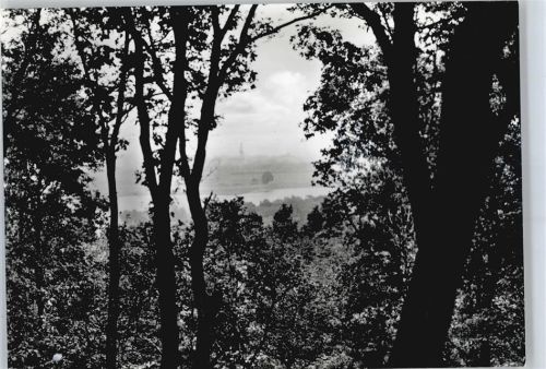 Brünkendorf Waldpartie