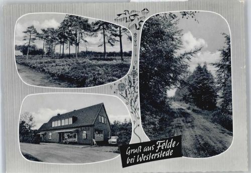 Felde Handlung, Waldweg