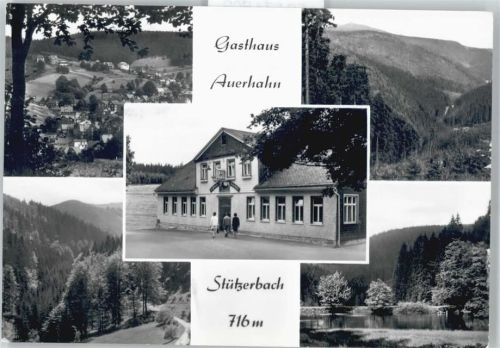 Stützerbach Gasthaus Auerhahn