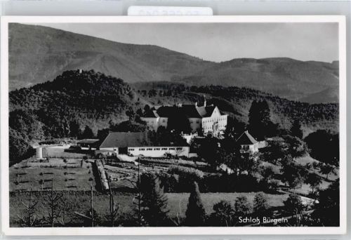 Bürgeln