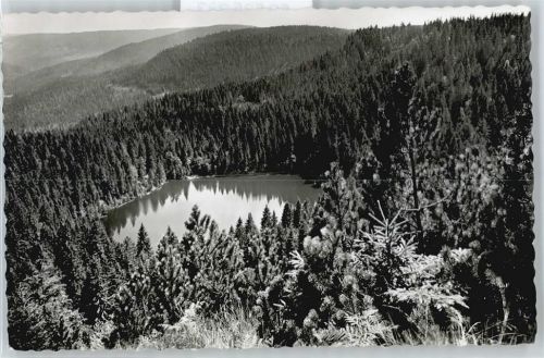 Bad Wildbad Wildsee