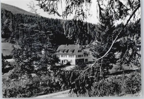 Erbersbronn Gasthaus zum grünen Wald