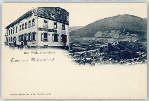 Neckarsteinach Gasthaus Panorama
