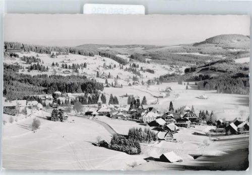 Altglashütten Panorama