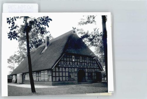 Fintel Foto mit Negativ