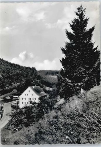 Birkendorf Hotel Bühlerhöhe