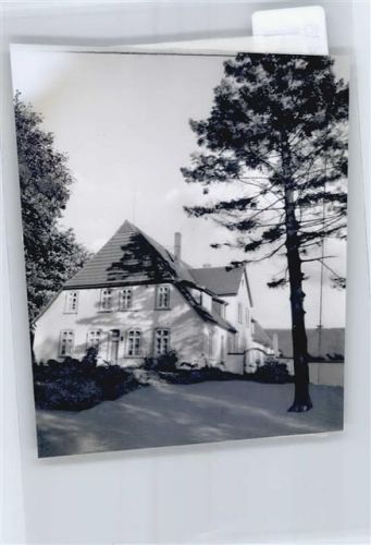 Wilstedtermoor Foto mit Negativ