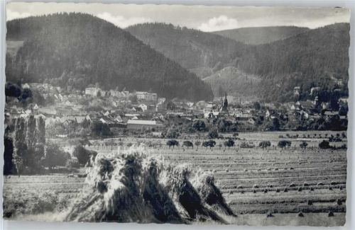 Friedrichroda Gesamtansicht