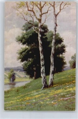 W.Hoy , Birken am Bach