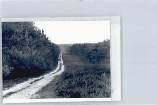 Itterbeck Foto mit Negativ