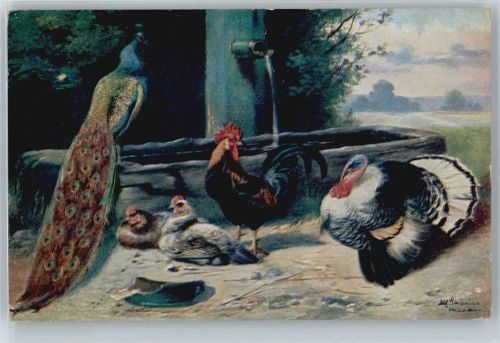Pfau und Hahn