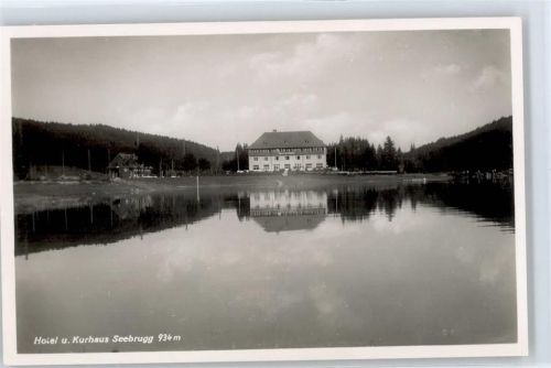 Schluchsee Hotel, Kurhaus Seebrugg