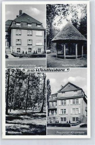 Bad Waldliesborn Provinzial-Kinderheim, Kurpark
