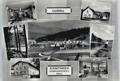 Kaikenried Waldler Hof, Zur Sonne, Am Platzl, Zum Goldenen Rössl