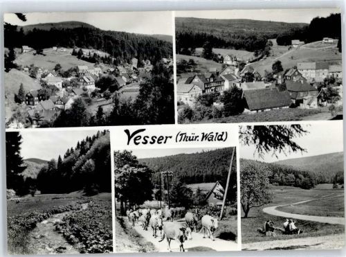 Vesser Damenkapelle , Kuhtrieb
