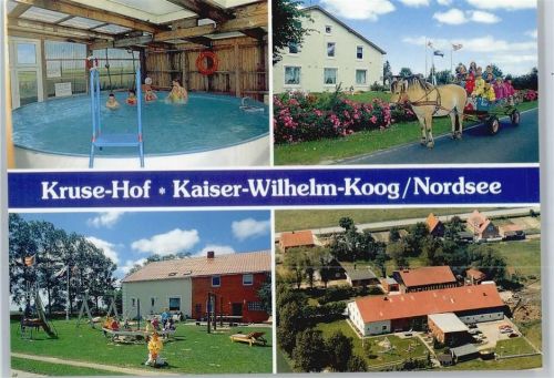 Kaiser-Wilhelm-Koog Bauernhof Kruse-Hof Hinrich Kruse, Pferd, Fliegeraufnahme