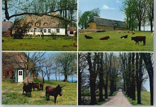 Esgrus Frauenhof