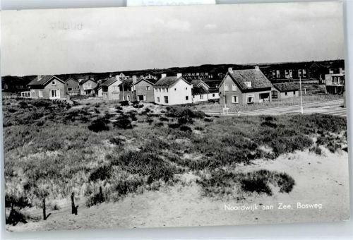 Noordwijk Bosweg, Siedlung
