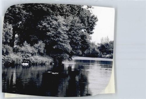 Harpstedt Foto mit Negativ