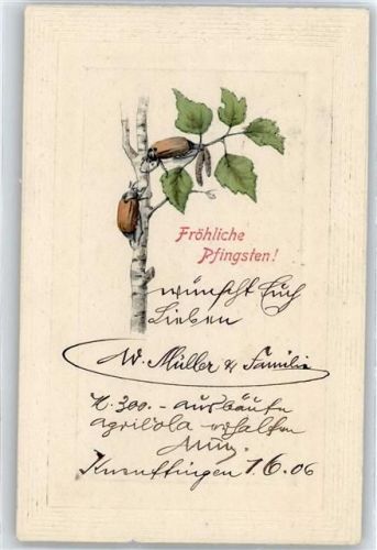 Pfingsten, Prägedruck Maikäfer