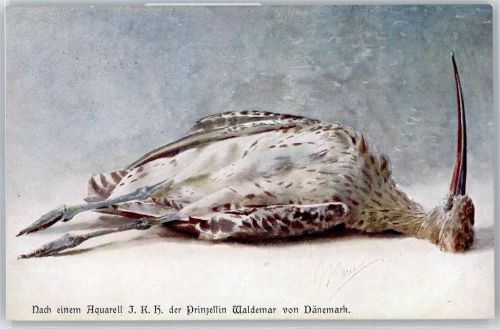 Waldemar , Prinzessin , Brachvogel