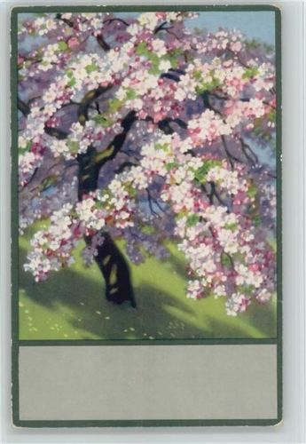 1921 Blühender Baum Meissner & Buch Serie 2347
