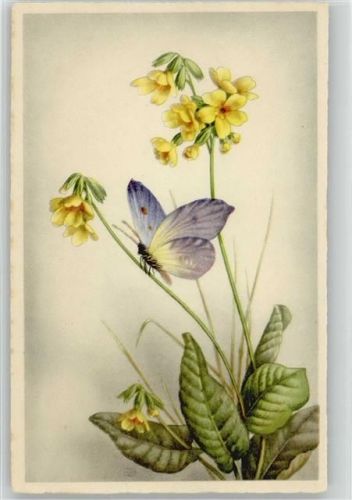 1920 - 1930 und Blumen