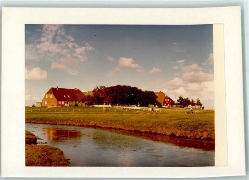 Hooge