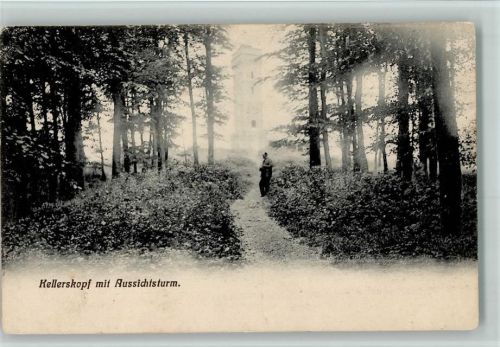 Wiesbaden Kellerskopf mit Aussichtsturm