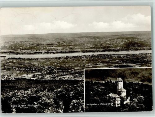 Oestrich-Winkel Blick vom Aussichtsturm Hallgartener Zange