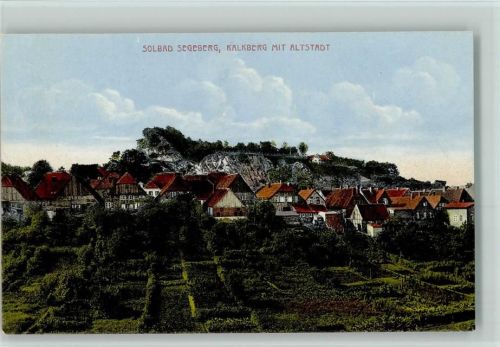 Bad Segeberg Kalkberg mit Altstadt