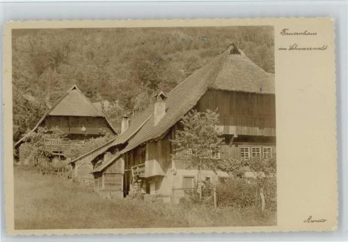 1935 Bauernhaus Foto AK