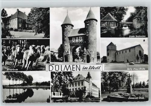 Dülmen Haus Merfeld Wildpferde Fischteich Gymnasium Lüdinghauser Tor Teichmühle Emmerick-Grab Heilig-Kreuz-Kirche