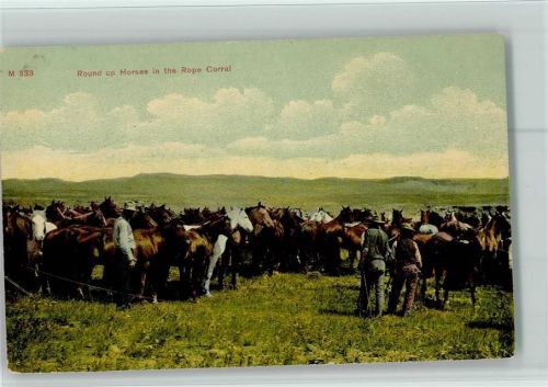 1910 Round up Horses in the Rope Corral AK Good condition - Pferdezucht