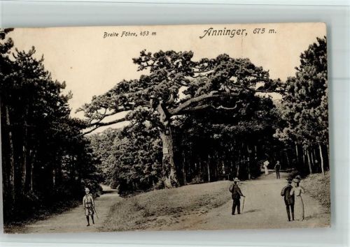 Anninger Breite Föhre Wanderer