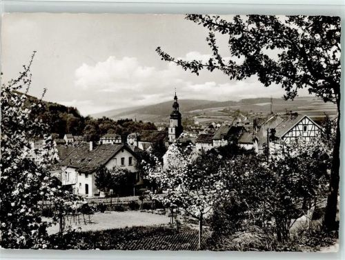 Bad Salzschlirf Teilansicht Baumblüte