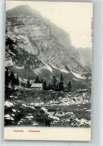 Weng Gesäuse Stadtalm