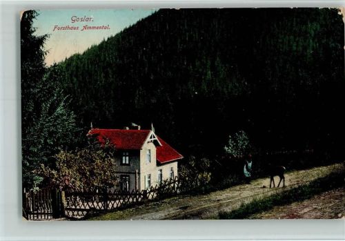 Goslar Forsthaus Ammental