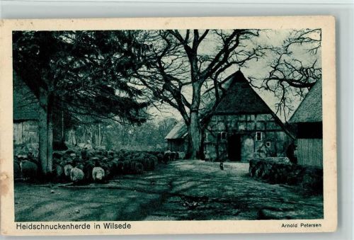 Wilsede Heidschnuckenherde Naturschutzpark Lüneburger Heide Foto Arnold Petersen