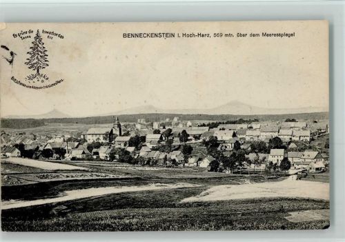 Benneckenstein 1912 Panorama