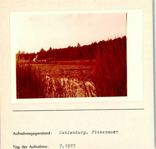Sahlenburg Finkenmoor Seerosen Foto montiert auf Karton