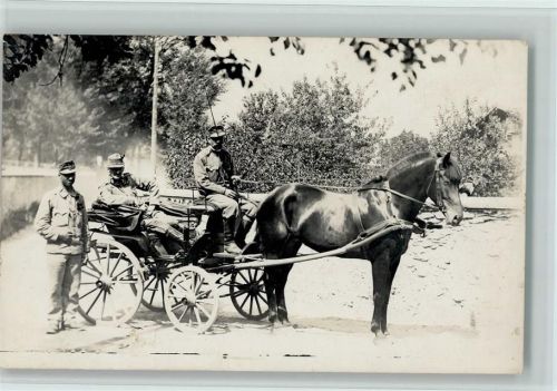 1916 WK I Tiergespann beim Militär - Kutsche