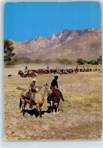 Bonanza