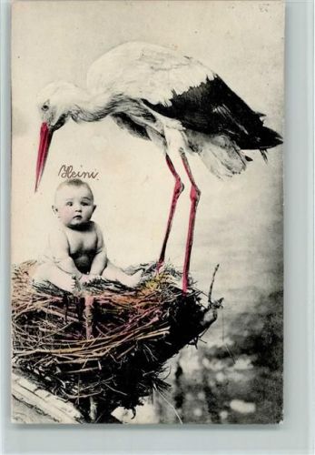 1908 Baby im Storchennest , handcoloriert AK