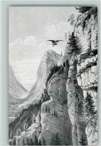 Nr. I Adlerfang zu Waidring in Tirol 1864 - Scan zeigt leider das Raster ,gute Erhaltung AK