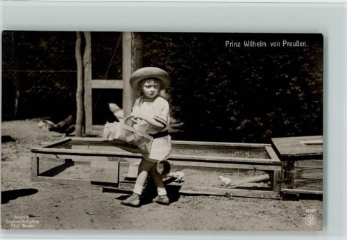 Verlag NPG 4000 - der Prinz mit Geflügel , sehr gute Erhaltung AK Adel Prinz Wilhelm
