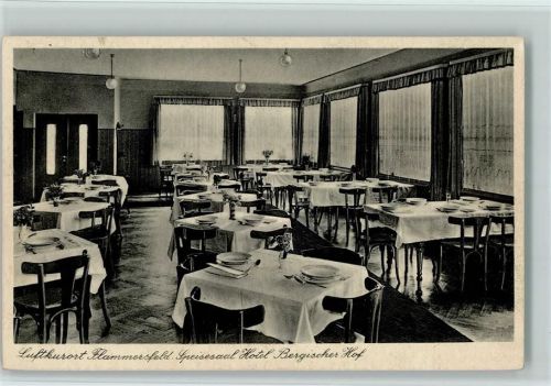 Flammersfeld Hotel Bergischer Hof Innenaufnahme Speisesaal