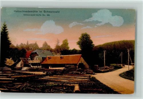 Holzschneidemühle im Schwarzwald, Schwarzwald Idyll Nr. 696 , gute Erhaltung AK