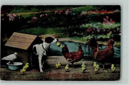 1911 Hundehütte, Geflügel, Küken AK